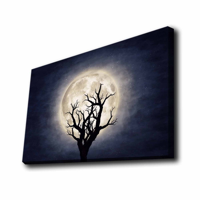 Wallity Lienzo Decorativo Iluminado con Led Multicolor 45 x 70 cm Wallity Lienzo Decorativo Iluminado con Led Multicolor 45 x 70 cm